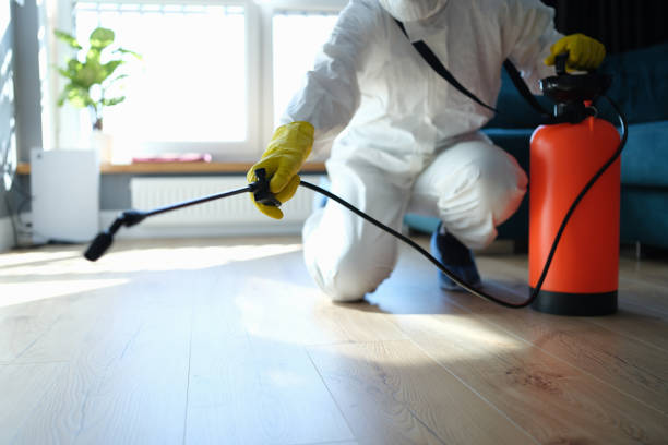 Reliable Odor Removal contractor in Augusta, MO by Trauma Clean Pros